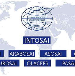 Международни организации
